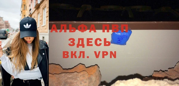 спиды Ладушкин