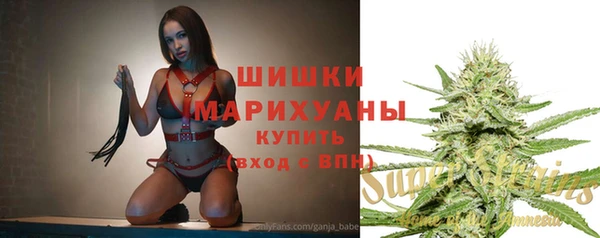 тгк Лагань