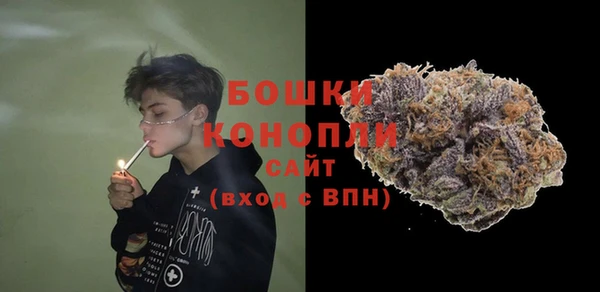 спиды Ладушкин