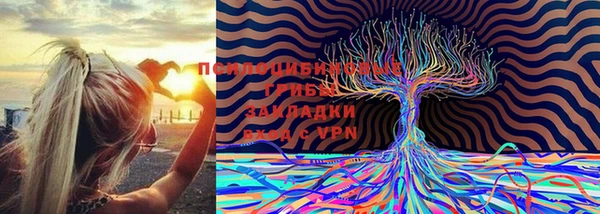 спиды Ладушкин