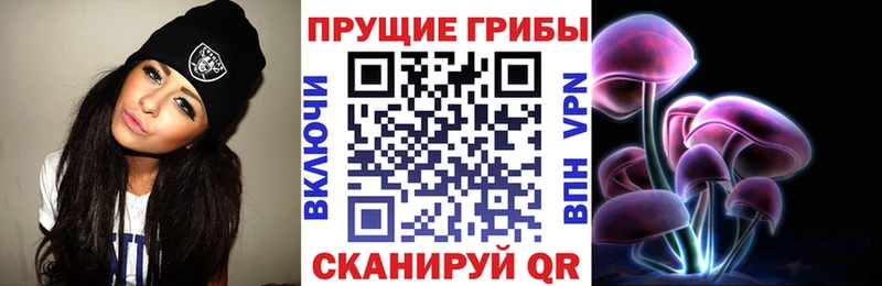 как найти закладки Мытищи Галлюциногенные грибы Magic Shrooms