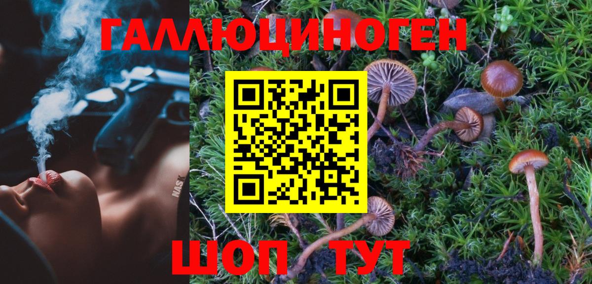 Галлюциногенные грибы Psilocybine cubensis  Вход с VPN  Мытищи 